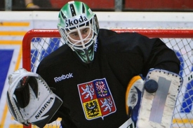 Brankář Schwarz byl hvězdou českého výběru.