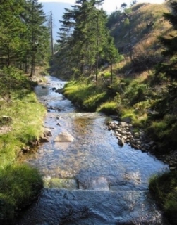 Krkonošský národní park byl založen v roce 1963.