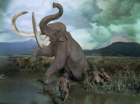 Pravěcí lovci byli zproštěni viny, americké mamuty prý nevyhubili.