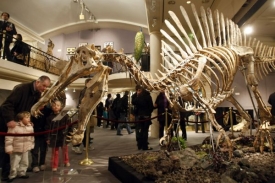Spinosaurus dál čeká na kupce ochotného zaplatit 250 tisíc eur.
