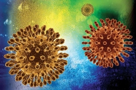 Metalokarborany viru zabrání v tvorbě nových virových částic.