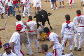 Každoroční běh s býky ve španělské Pamploně.