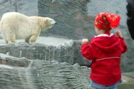 Zoo v Praze bude pro návštěvníky otevřena na Vánoce do 14 hodin.
