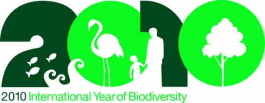 Logo Mezinárodního roku biodiverzity.