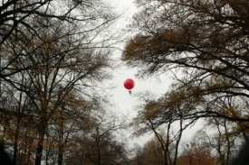 Jeden ze soutěžních balonů. Našlo ho jen pár šťastlivců.