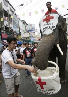 Sbírky se organizují všude po světě; v Thajsku pomáhají i sloni.