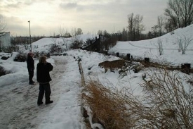 Gepardice si udělala vycházku, mezi návštěvníky pražské zoo.