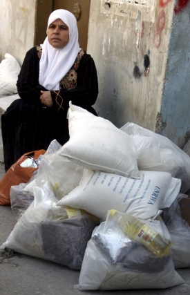 Nejvíce peněz loni ČR poslala na pomoc palestinským uprchlíkům.