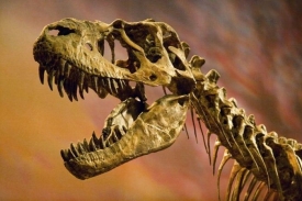 Dinosauři budí respekt, ne však hrůzu. Jsou bezpečně mrtví.