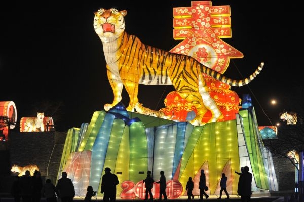 V Číně začal rok tygra.