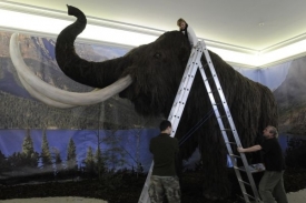 Model mamuta, největší exponát výstavy v Západočeském muzeu v Plzni.