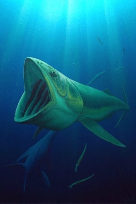 Bonnerichthys, obří planktonožravá ryba z doby před 70 miliony let.