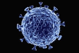 Virus HIV se umí v buňce schovat a odolat tak virostatikům.