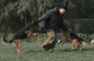 Čínská policie cvičí pro boj s demonstranty i psy.