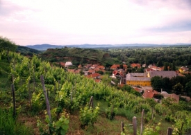 Městečko Tokaj dalo jméno nejslavnějšímu maďarskému vínu.