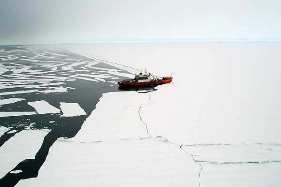 Loď Akademik Fedorov u břehu Antarktidy.