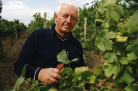 Ekologičtí vinaři se zapojí do ochrany přírody. (Ilustrační foto)