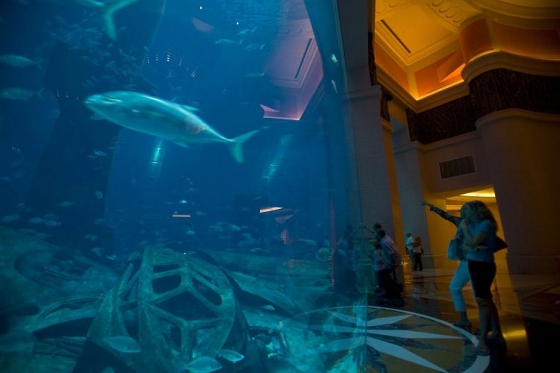 V hotelu Atlantis ožívá bájná Atlantida zmizelá v hlubinách moře.