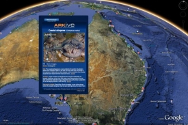 Google Earth nově nabízí i informace o oceánech a mapy mořského dna.