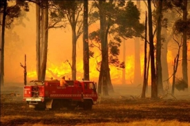 V Austrálii uhořelo 96 lidí.