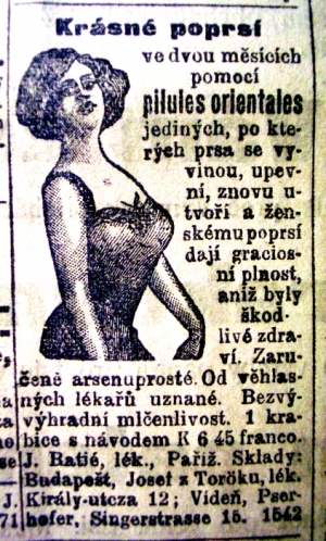 Vánoce 1908: Krásné poprsí.