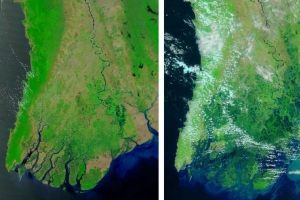Výmluvné snímky NASA. Delta řeky Iravadi před a po cyklonu.