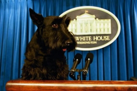S Bushem opustí Bílý dům i jeho psí mazlík Barney.