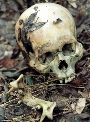 Lebka nalezená 1996 u Srebrenice.