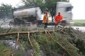 Silnič&aacute;ři odstraňuj&iacute; pol&aacute;man&eacute; větve ze silnice I/38 u obce Skuhrov na Havl&iacute;čkobrodsku.