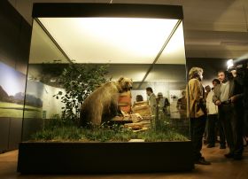 Medvědova poslední štace, muzeum v Mnichově.