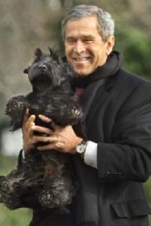 V Bílém domě měl psa i George Bush - skotského teriéra Barneyho.