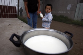 Namísto v obchodech shánějí čínské matky mléko přímo z vemene.