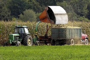 Sklizeň kukuřice, která je hlavním zdrojem biolihu v USA.