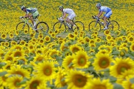 Momentka ze slavného cyklistického závodu Tour de France.