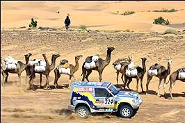 Klasickou pouštní scenérii s velbloudy letošní Dakar neuvidí.