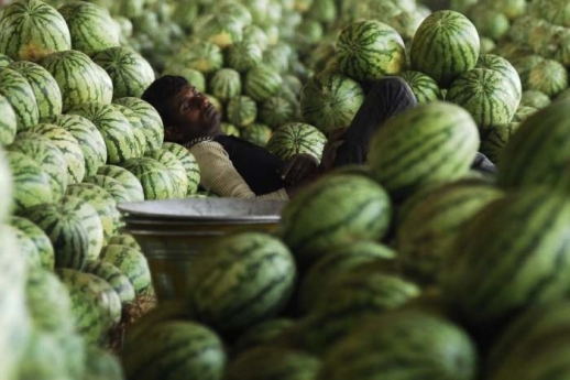Mezi melouny na trhu v indickém městě Hyderabad usnul unavený dělník. (Foto: AP)