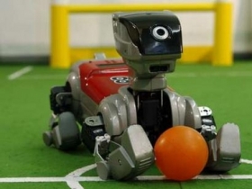 Robopes m&iacute;sto živ&eacute;ho? Pro důchodce pr&yacute; dobr&eacute;...