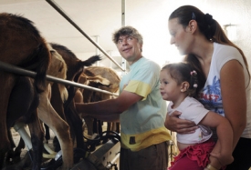 Rodina Kerlesových při dojení koz.