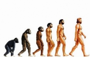 Populární vyobrazení evolučního procesu.