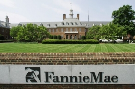 Fannie Mae a Freddie Mac se potýkají s krizí na hypotečním trhu.