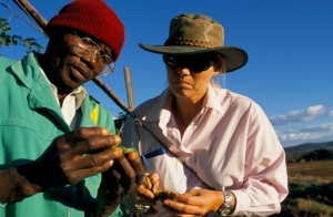 Bílá farmářka ze Zimbabwe