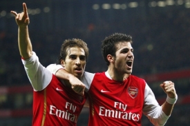 Hráči Arsenalu se radují po brance do sítě Newcastlu.