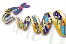 Lidský genom sestává ze tří miliard písmen genetické abecedy.
