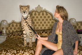 Nen&iacute; m&iacute;ca jako m&iacute;ca, dom&aacute;c&iacute;m mazl&iacute;čkem může b&yacute;t i gepard.