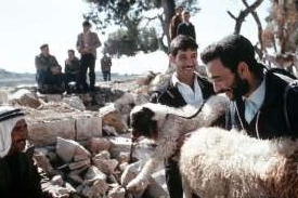Žid kupuje od Araba ovci, izraelský venkov, ilustrační foto.