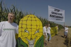 Proti GM plodinám protestuje i hnutí Greenpeace