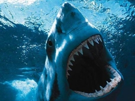 Žralok zuby, má jak nože, a z těch zubů, čiší strach...