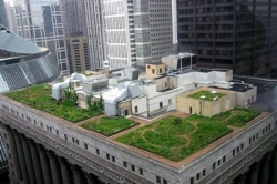Pěstování trávy na střeše by mělo být díky umělé zemině snazší.