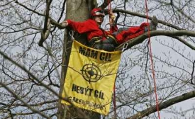 Greenpeace protestují v brdských lesích.