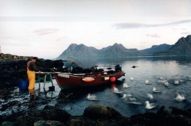 Rybolov tvoří 30 procent islandského exportu.